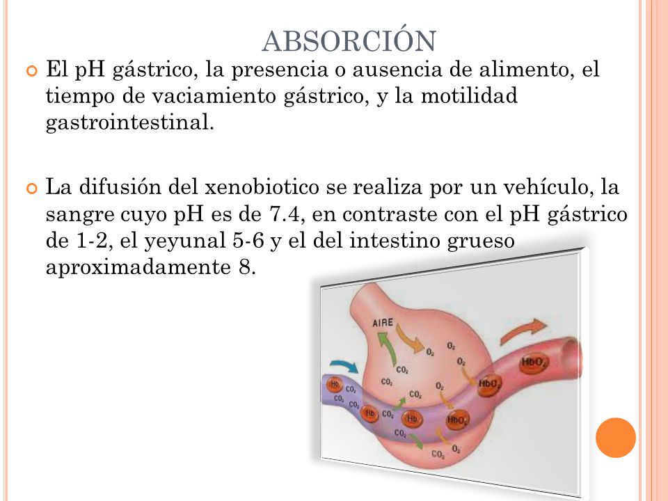 ABSORCIÓN El pH gástrico, la presencia o ausencia de alimento, el tiempo de vaciamiento gástrico, y la motilidad gastrointestinal.