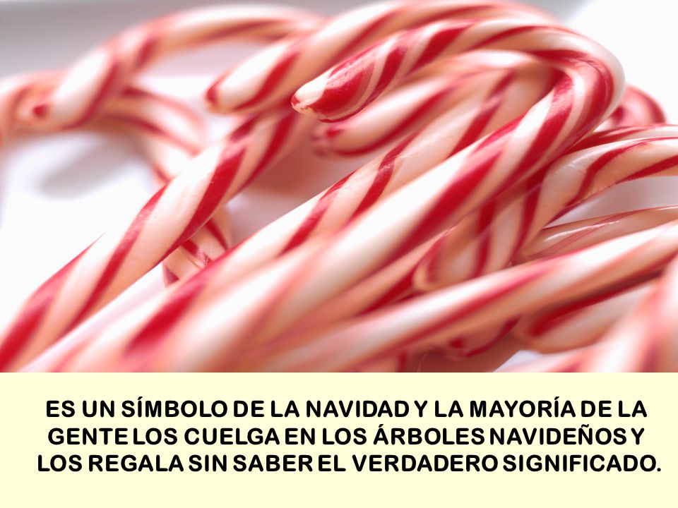 ES UN SÍMBOLO DE LA NAVIDAD Y LA MAYORÍA DE LA