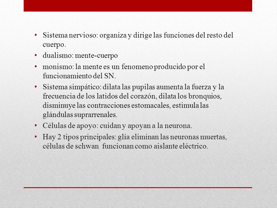 Sistema nervioso: organiza y dirige las funciones del resto del cuerpo.