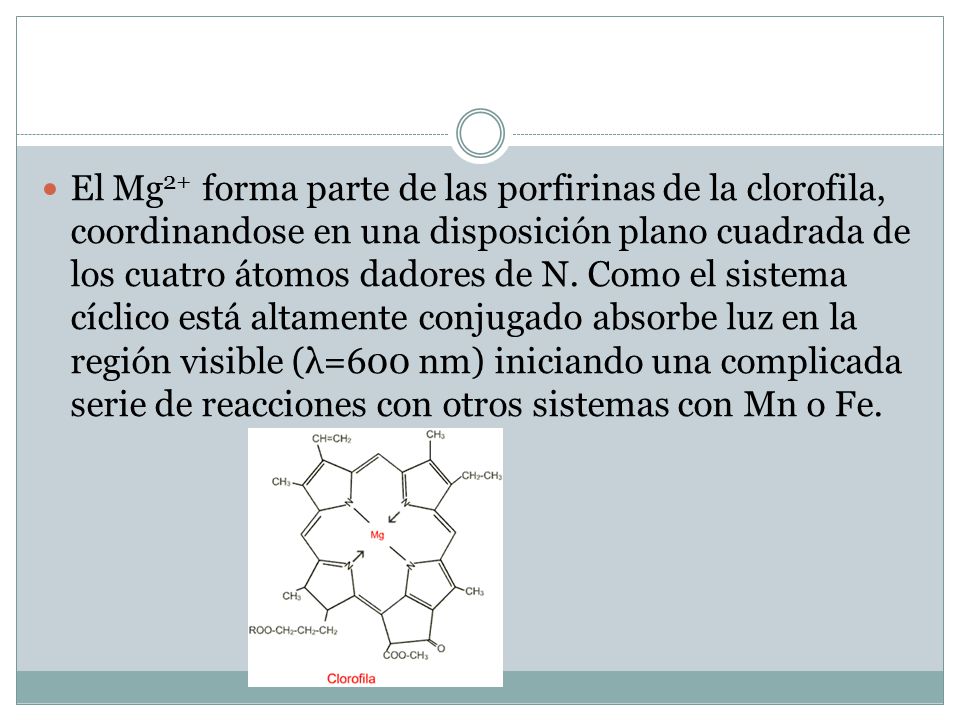 El Mg2+ forma parte de las porfirinas de la clorofila, coordinandose en una disposición plano cuadrada de los cuatro átomos dadores de N.