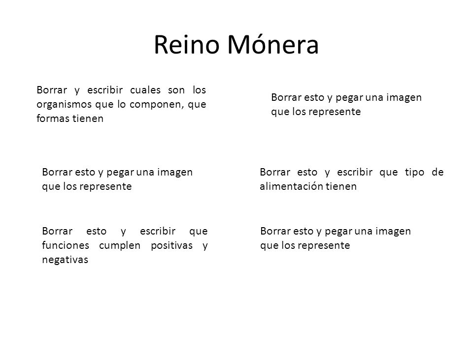 Reino Mónera Borrar y escribir cuales son los organismos que lo componen, que formas tienen. Borrar esto y pegar una imagen que los represente.