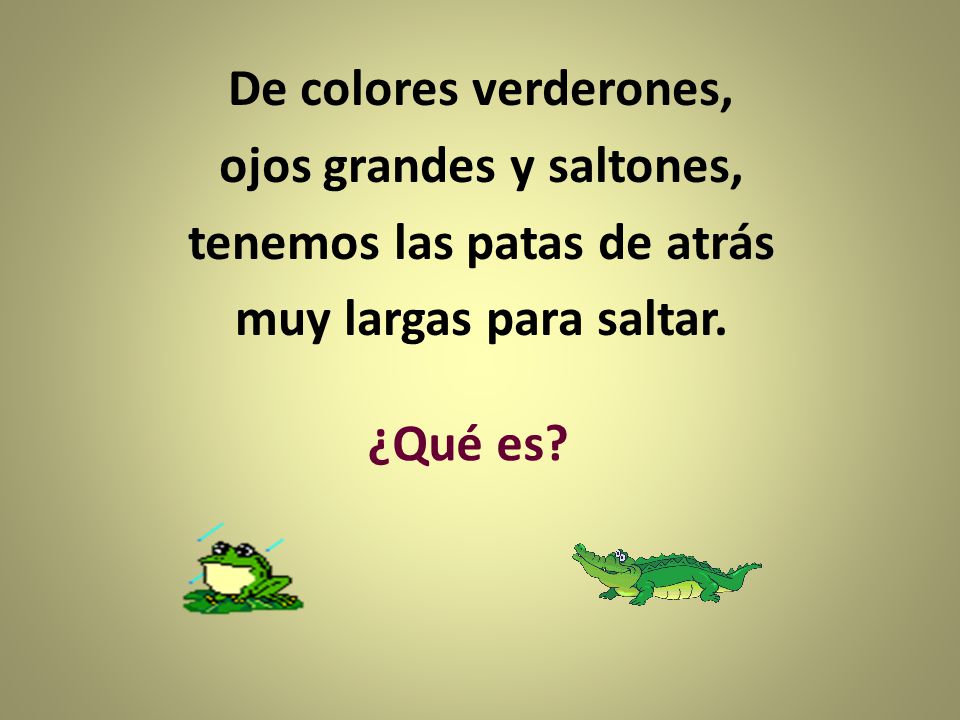 De colores verderones, ojos grandes y saltones, tenemos las patas de atrás muy largas para saltar.