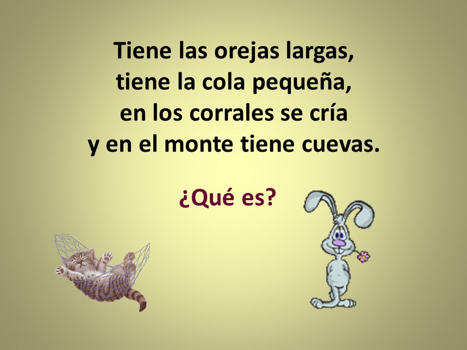 Tiene las orejas largas, tiene la cola pequeña, en los corrales se cría y en el monte tiene cuevas.