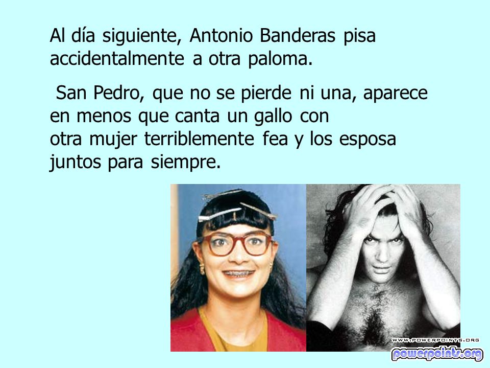 Al día siguiente, Antonio Banderas pisa accidentalmente a otra paloma.