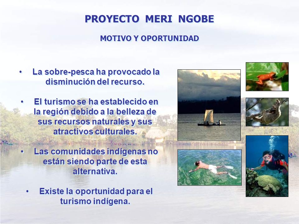 PROYECTO MERI NGOBE MOTIVO Y OPORTUNIDAD. La sobre-pesca ha provocado la disminución del recurso.