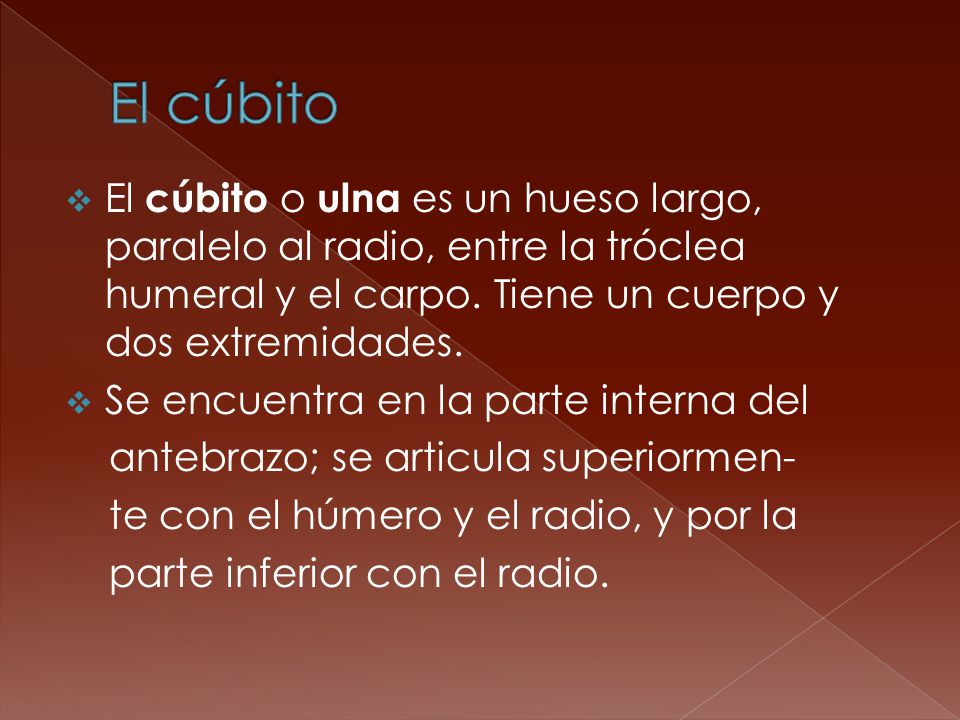 El cúbito El cúbito o ulna es un hueso largo, paralelo al radio, entre la tróclea humeral y el carpo. Tiene un cuerpo y dos extremidades.