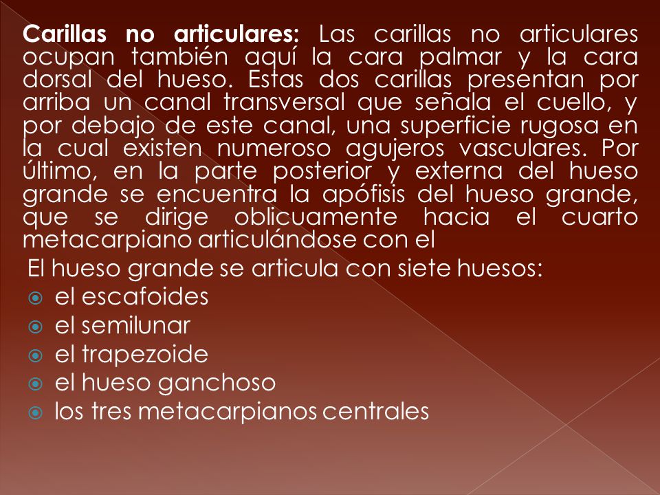 Carillas no articulares: Las carillas no articulares ocupan también aquí la cara palmar y la cara dorsal del hueso. Estas dos carillas presentan por arriba un canal transversal que señala el cuello, y por debajo de este canal, una superficie rugosa en la cual existen numeroso agujeros vasculares. Por último, en la parte posterior y externa del hueso grande se encuentra la apófisis del hueso grande, que se dirige oblicuamente hacia el cuarto metacarpiano articulándose con el