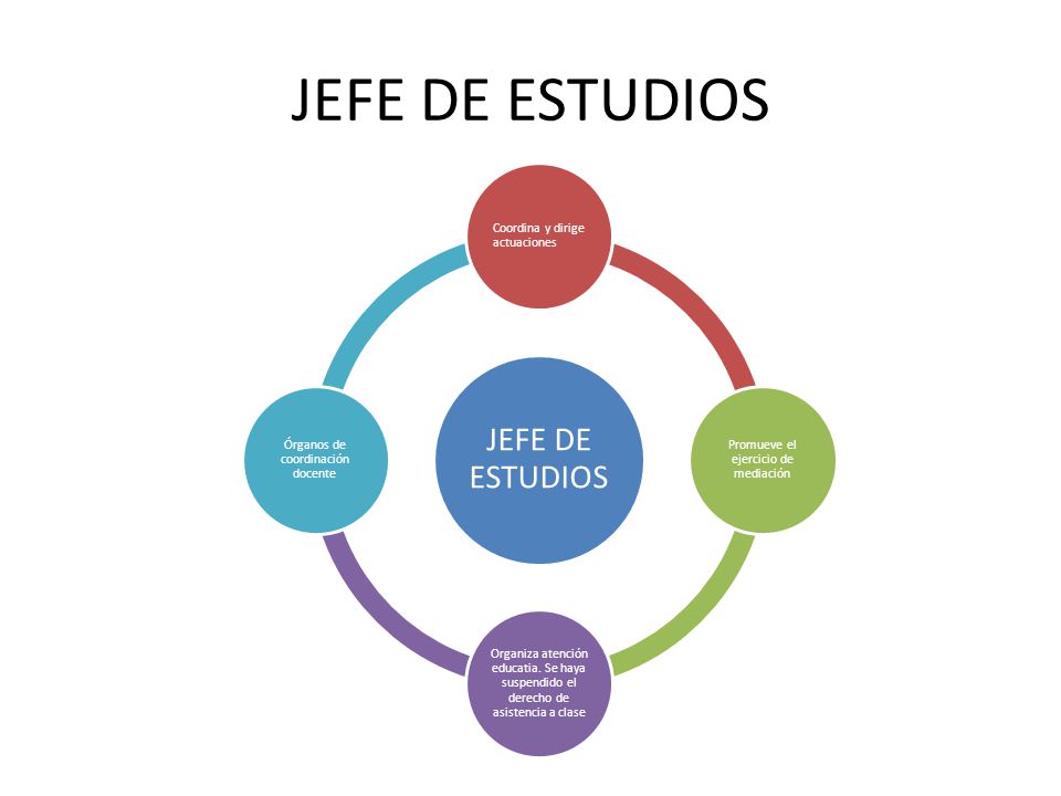 JEFE DE ESTUDIOS JEFE DE ESTUDIOS Coordina y dirige actuaciones