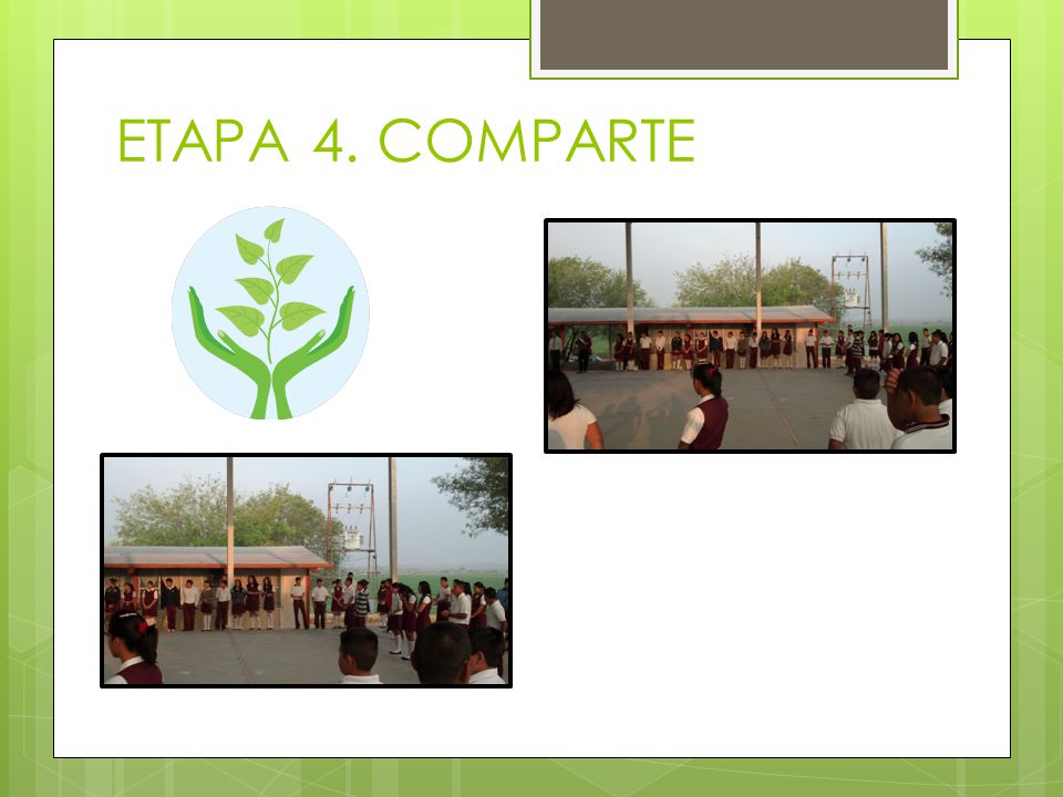 ETAPA 4. COMPARTE
