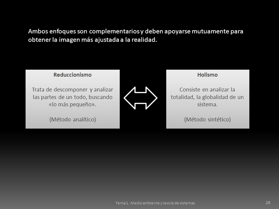 Consiste en analizar la totalidad, la globalidad de un sistema.