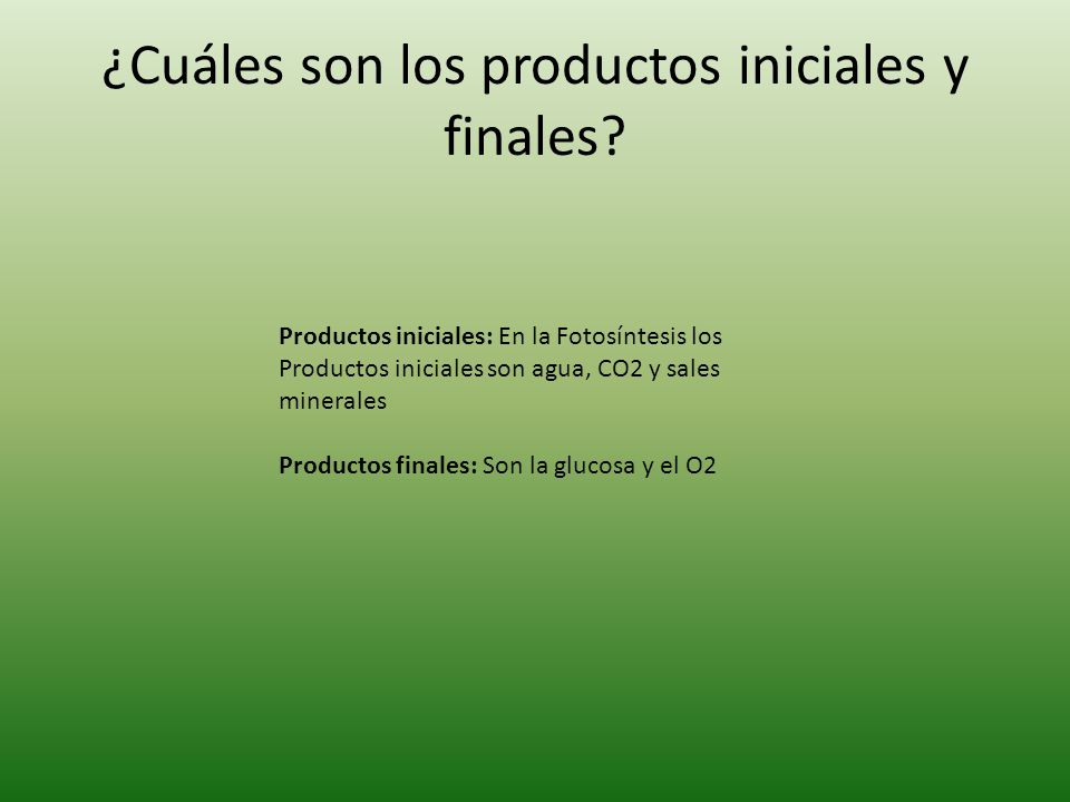 ¿Cuáles son los productos iniciales y finales