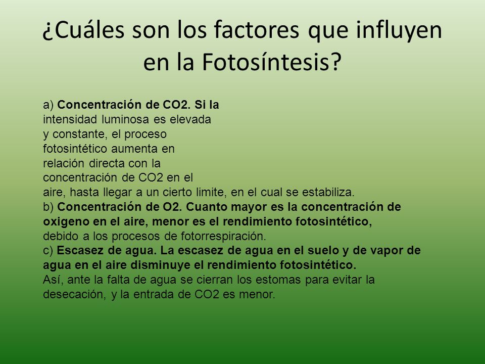 ¿Cuáles son los factores que influyen en la Fotosíntesis