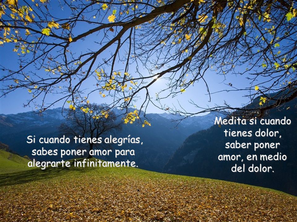 Medita si cuando tienes dolor, saber poner amor, en medio del dolor.