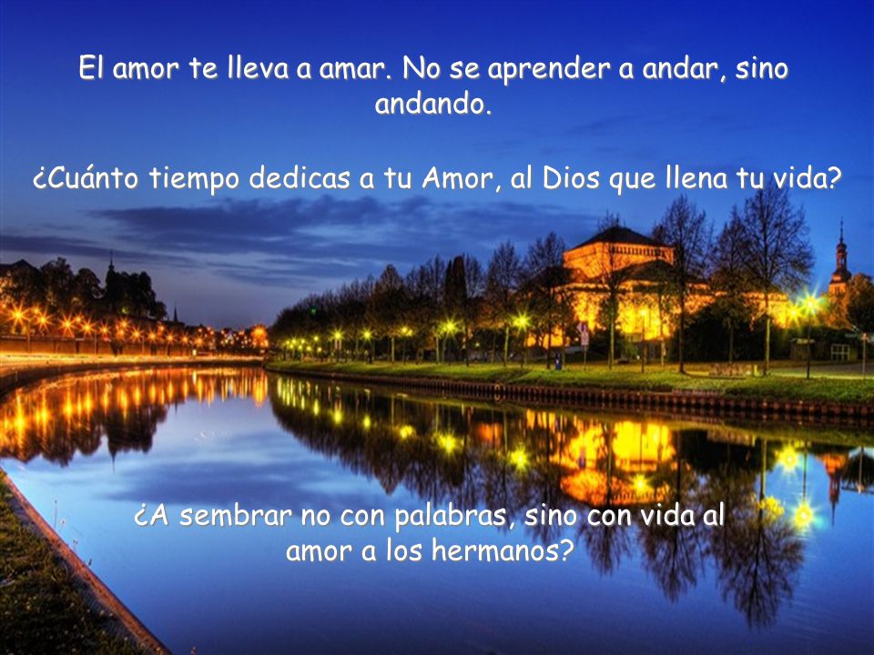 El amor te lleva a amar. No se aprender a andar, sino andando.