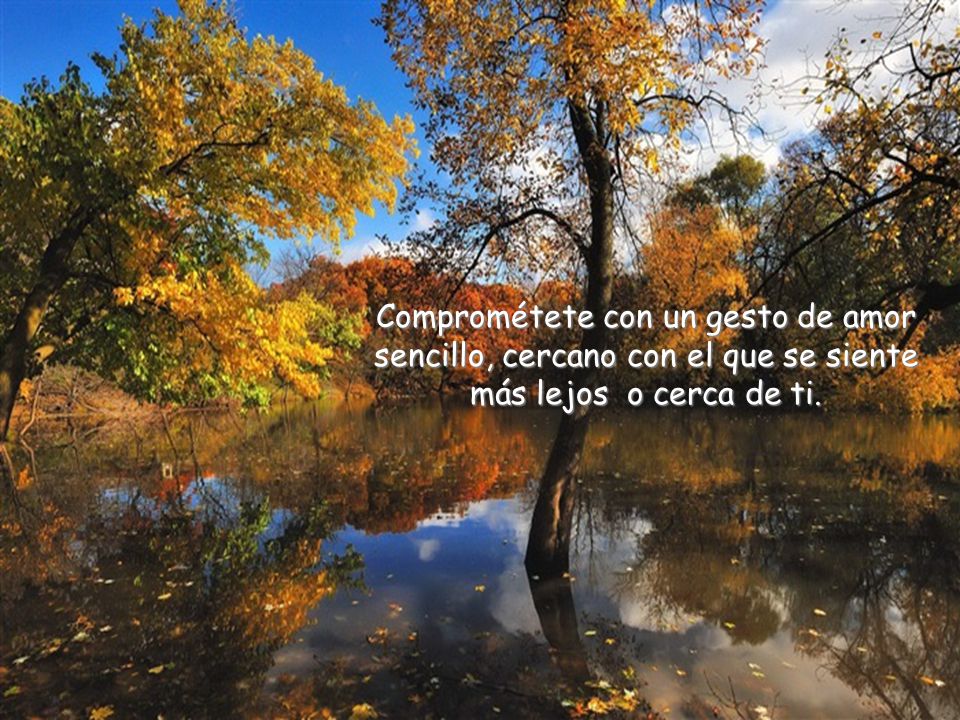 Comprométete con un gesto de amor sencillo, cercano con el que se siente más lejos o cerca de ti.