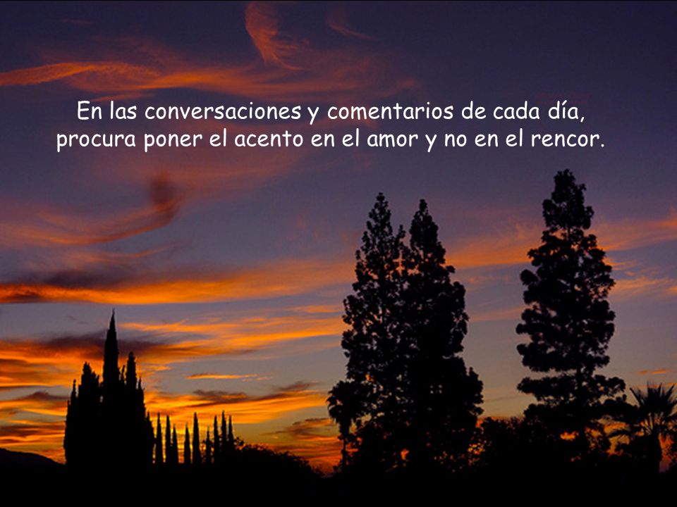 En las conversaciones y comentarios de cada día, procura poner el acento en el amor y no en el rencor.
