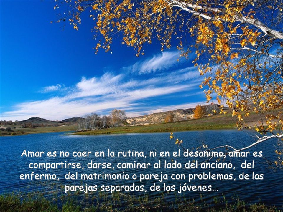 Amar es no caer en la rutina, ni en el desanimo, amar es compartirse, darse, caminar al lado del anciano, del enfermo, del matrimonio o pareja con problemas, de las parejas separadas, de los jóvenes…