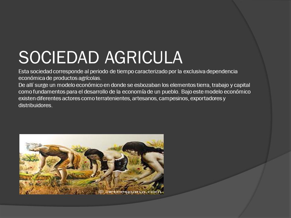 SOCIEDAD AGRICULA Esta sociedad corresponde al periodo de tiempo caracterizado por la exclusiva dependencia económica de productos agrícolas.