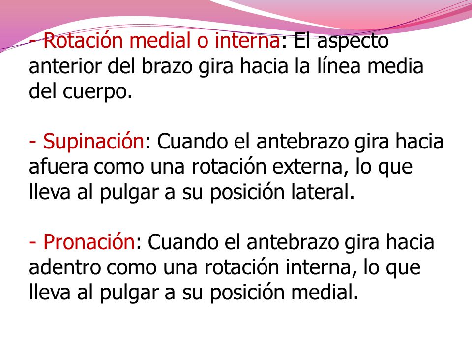 - Rotación medial o interna: El aspecto anterior del brazo gira hacia la línea media del cuerpo.