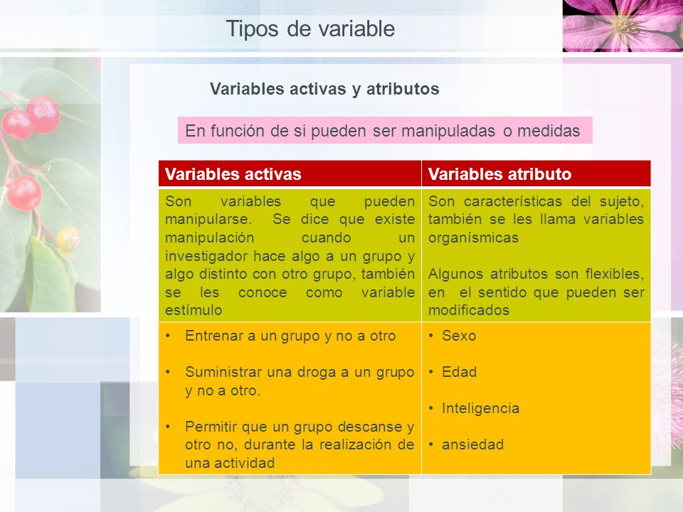 Tipos de variable Variables activas y atributos