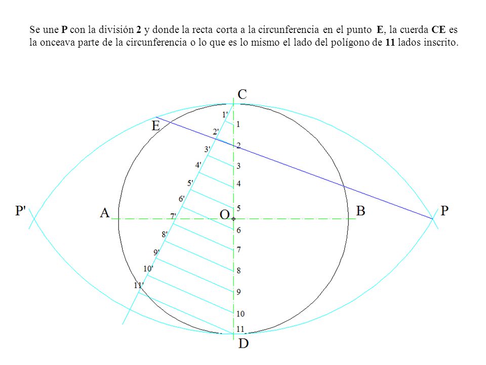 Se une P con la división 2 y donde la recta corta a la circunferencia en el punto E, la cuerda CE es la onceava parte de la circunferencia o lo que es lo mismo el lado del polígono de 11 lados inscrito.