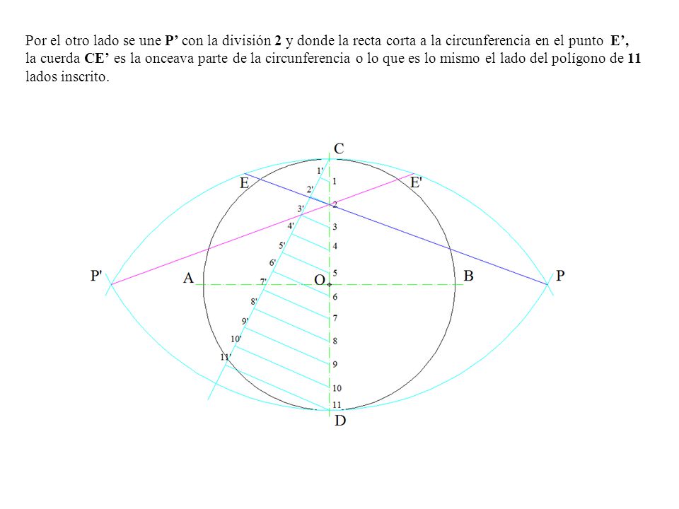Por el otro lado se une P’ con la división 2 y donde la recta corta a la circunferencia en el punto E’, la cuerda CE’ es la onceava parte de la circunferencia o lo que es lo mismo el lado del polígono de 11 lados inscrito.