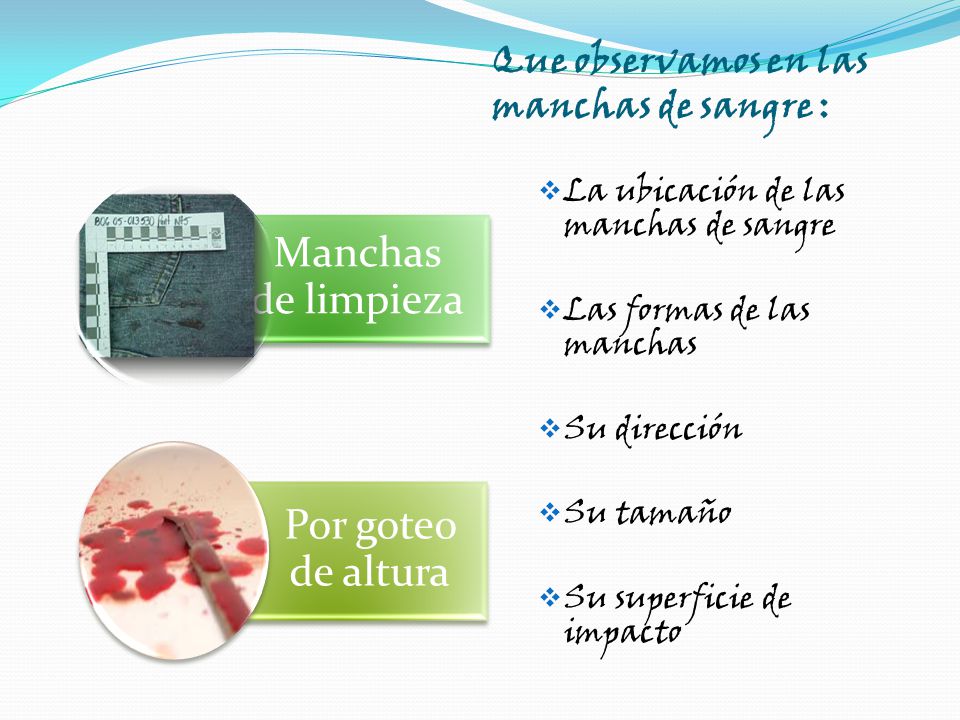 Que observamos en las manchas de sangre :
