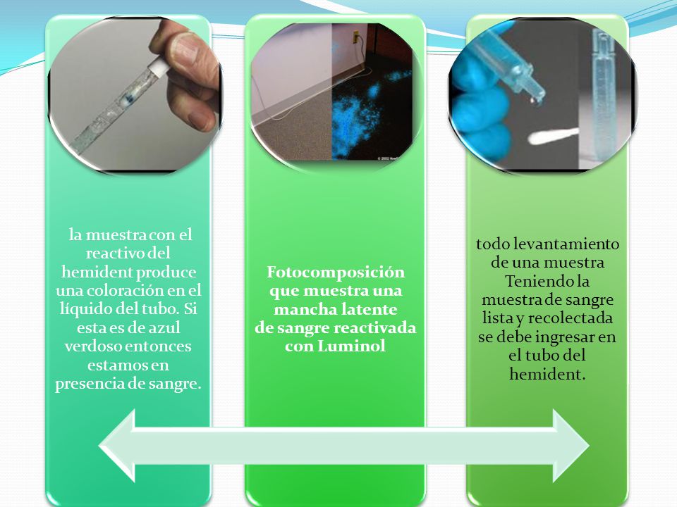 la muestra con el reactivo del hemident produce una coloración en el líquido del tubo. Si esta es de azul verdoso entonces estamos en presencia de sangre.