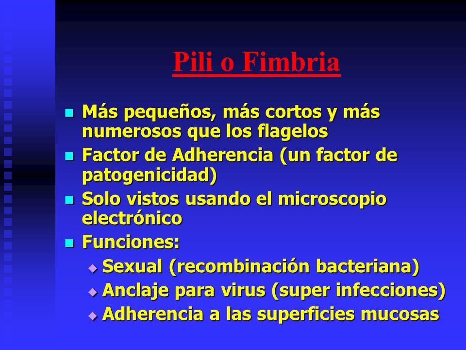 Pili o Fimbria Más pequeños, más cortos y más numerosos que los flagelos. Factor de Adherencia (un factor de patogenicidad)
