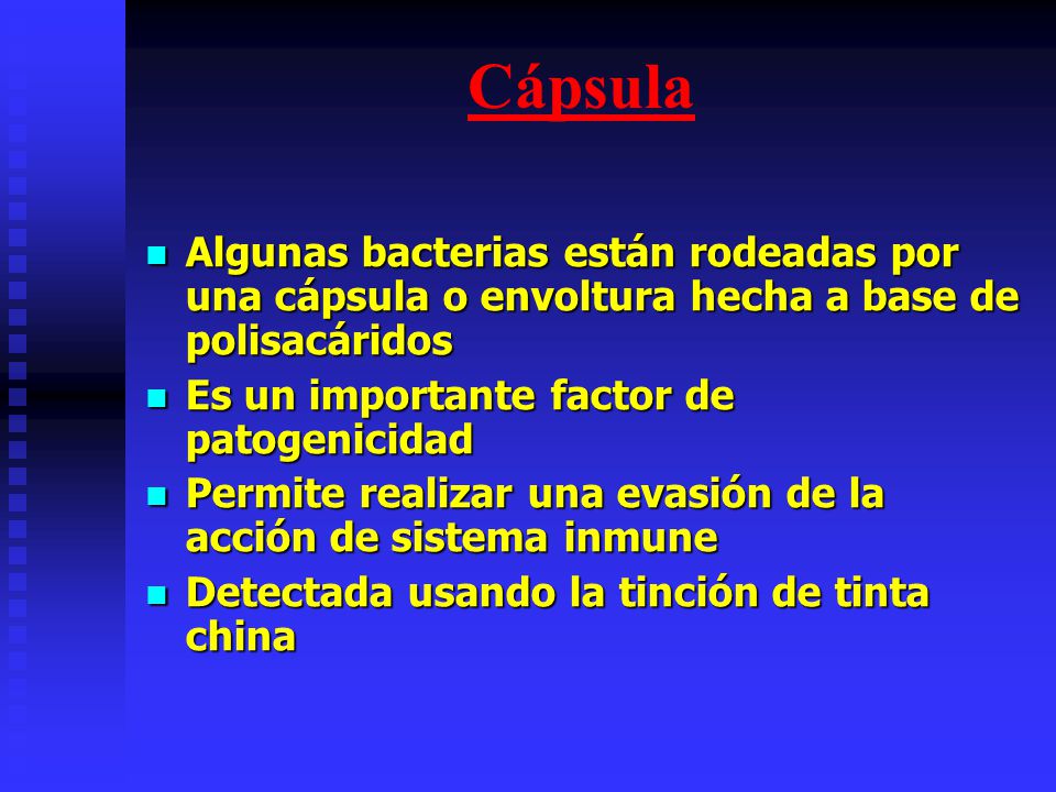 Cápsula Algunas bacterias están rodeadas por una cápsula o envoltura hecha a base de polisacáridos.