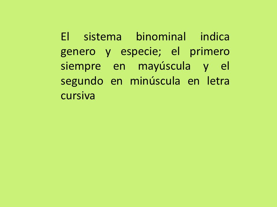 El sistema binominal indica genero y especie; el primero siempre en mayúscula y el segundo en minúscula en letra cursiva