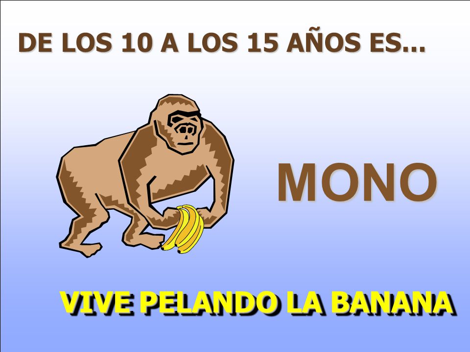 DE LOS 10 A LOS 15 AÑOS ES... MONO VIVE PELANDO LA BANANA