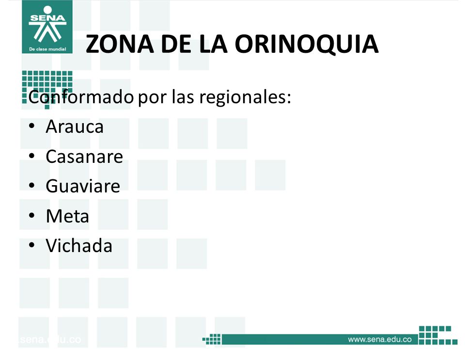ZONA DE LA ORINOQUIA Conformado por las regionales: Arauca Casanare