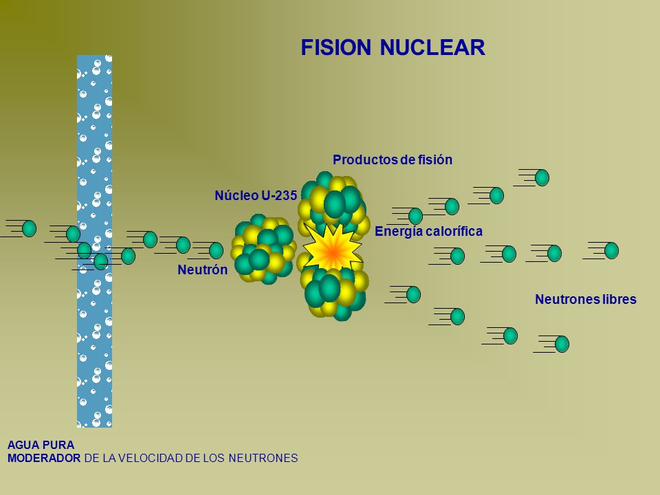 FISION NUCLEAR Productos de fisión Núcleo U-235 Energía calorífica