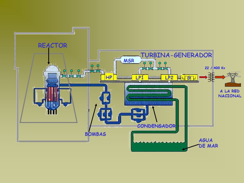 REACTOR TURBINA-GENERADOR MSR C C HP LP1 LP2 G CONDENSADOR BOMBAS