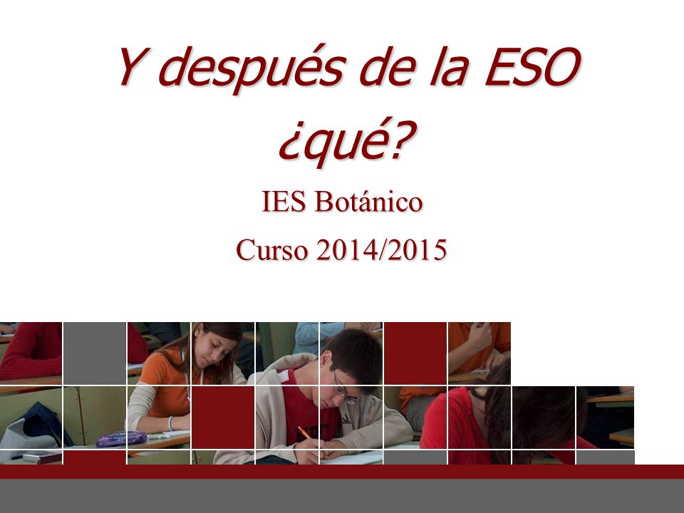 Y después de la ESO ¿qué IES Botánico Curso 2014/2015 1
