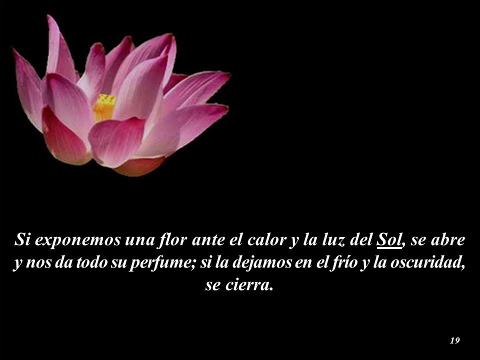 Si exponemos una flor ante el calor y la luz del Sol, se abre y nos da todo su perfume; si la dejamos en el frío y la oscuridad, se cierra.