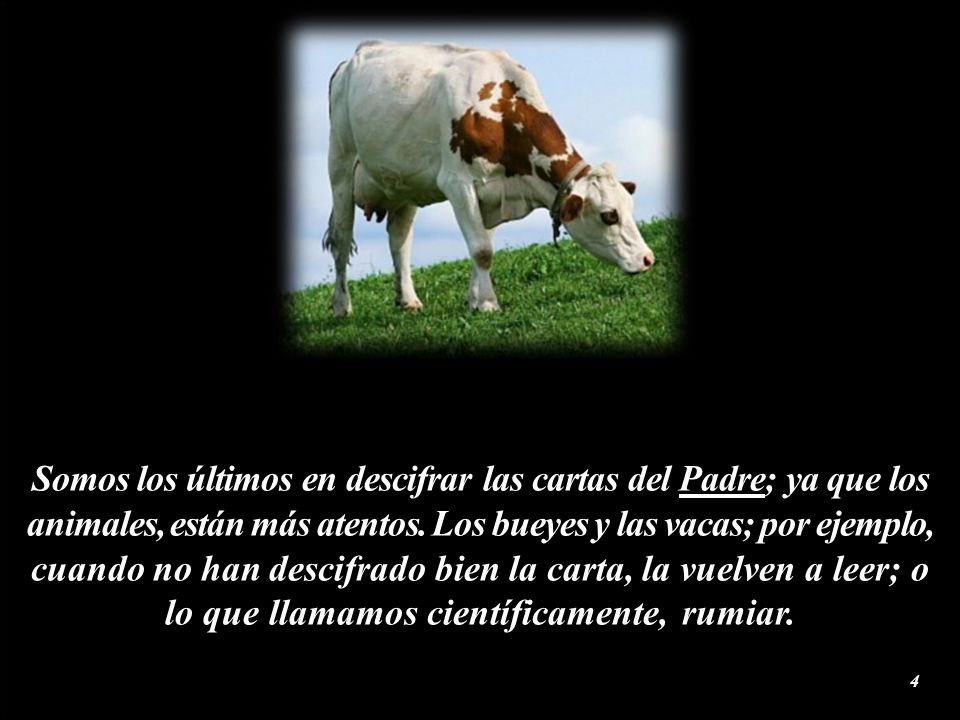 Somos los últimos en descifrar las cartas del Padre; ya que los animales, están más atentos.