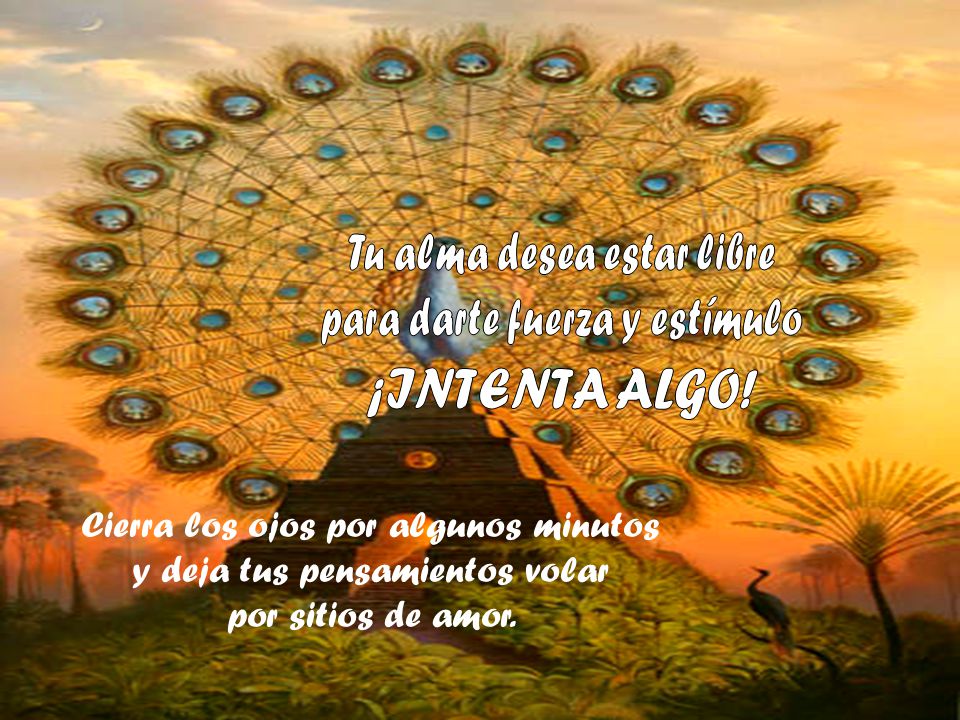 Tu alma desea estar libre para darte fuerza y estímulo