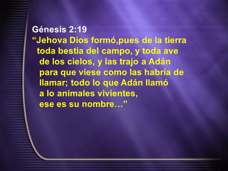 Génesis 2:19 Jehova Dios formó,pues de la tierra. toda bestia del campo, y toda ave. de los cielos, y las trajo a Adán.