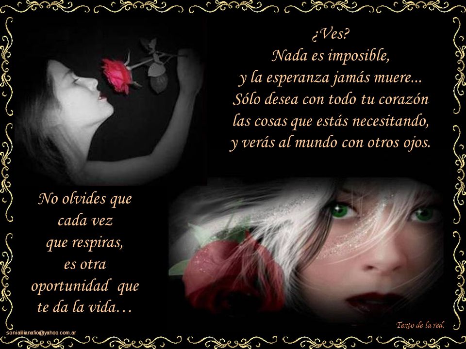 y la esperanza jamás muere... Sólo desea con todo tu corazón