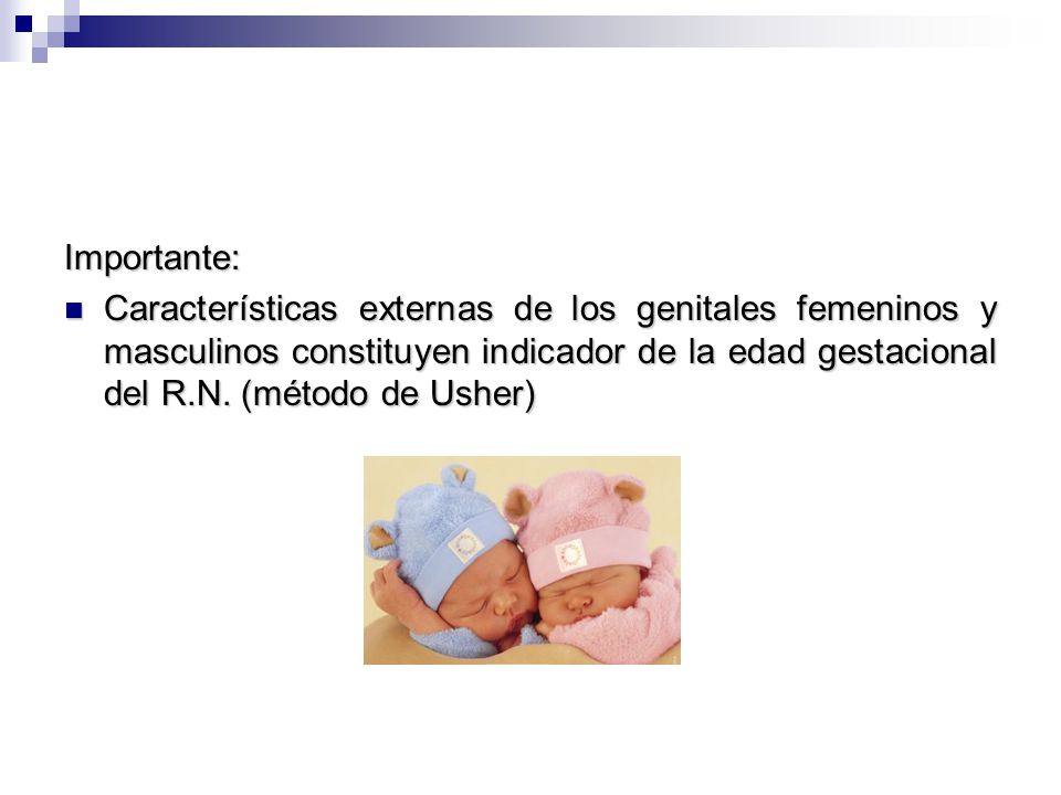 Importante: Características externas de los genitales femeninos y masculinos constituyen indicador de la edad gestacional del R.N.