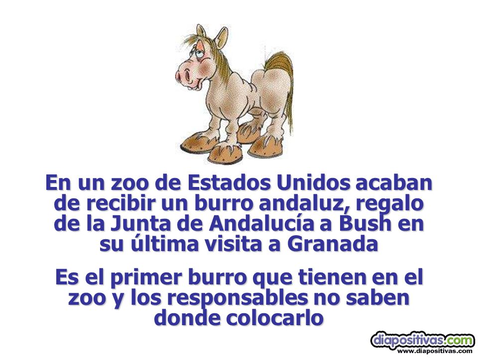 En un zoo de Estados Unidos acaban de recibir un burro andaluz, regalo de la Junta de Andalucía a Bush en su última visita a Granada.