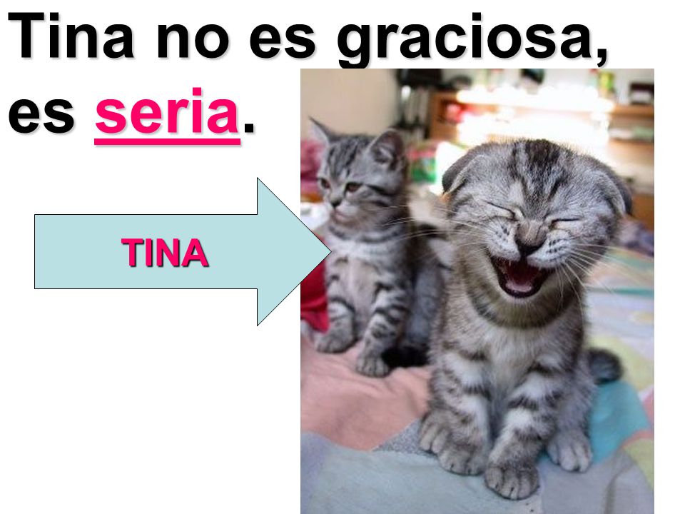Tina no es graciosa, es seria.