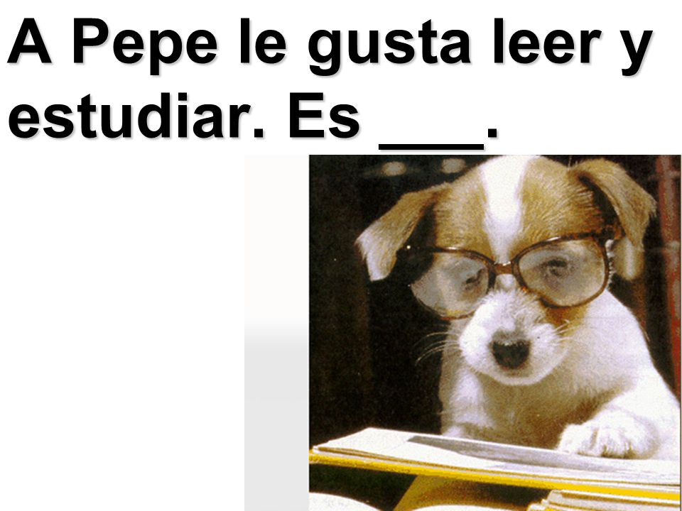 A Pepe le gusta leer y estudiar. Es ___.