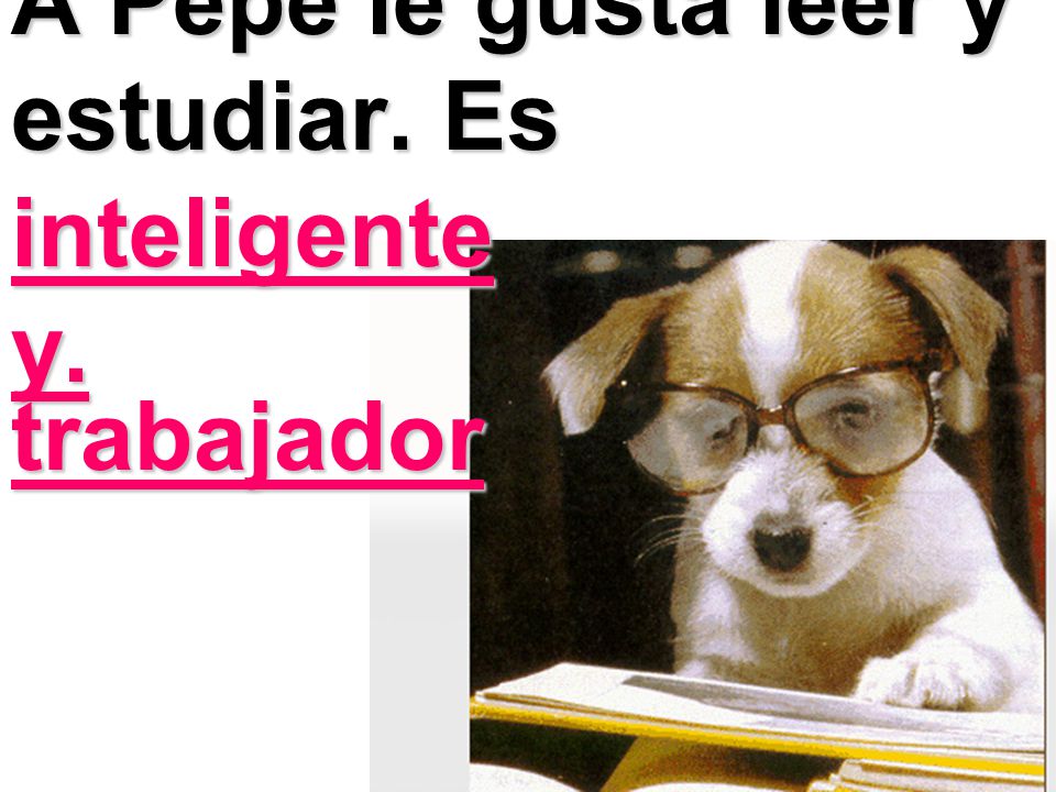 A Pepe le gusta leer y estudiar. Es inteligente y.