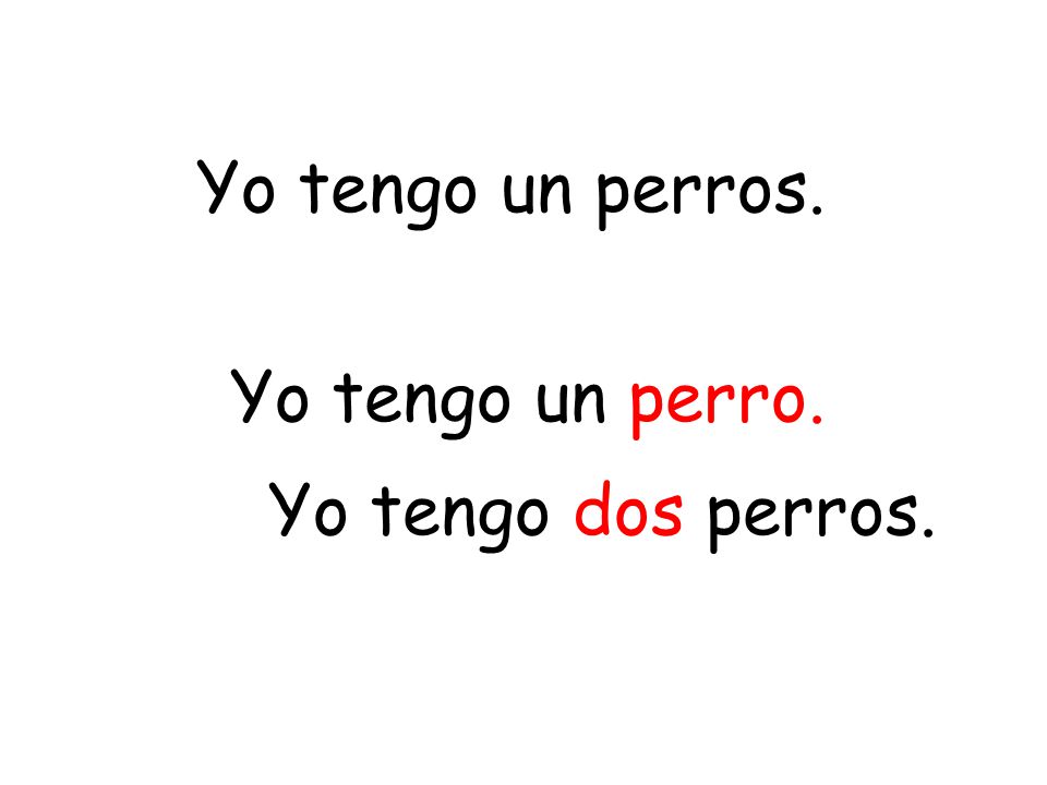 Yo tengo un perros. Yo tengo un perro. Yo tengo dos perros.