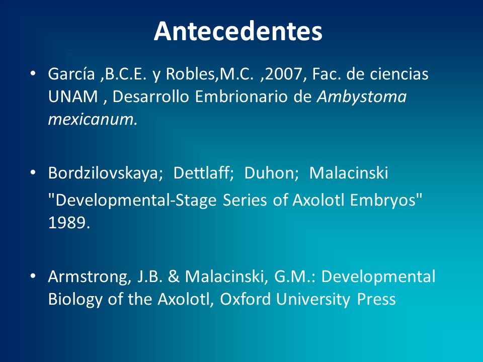 Antecedentes García ,B.C.E. y Robles,M.C. ,2007, Fac. de ciencias UNAM , Desarrollo Embrionario de Ambystoma mexicanum.