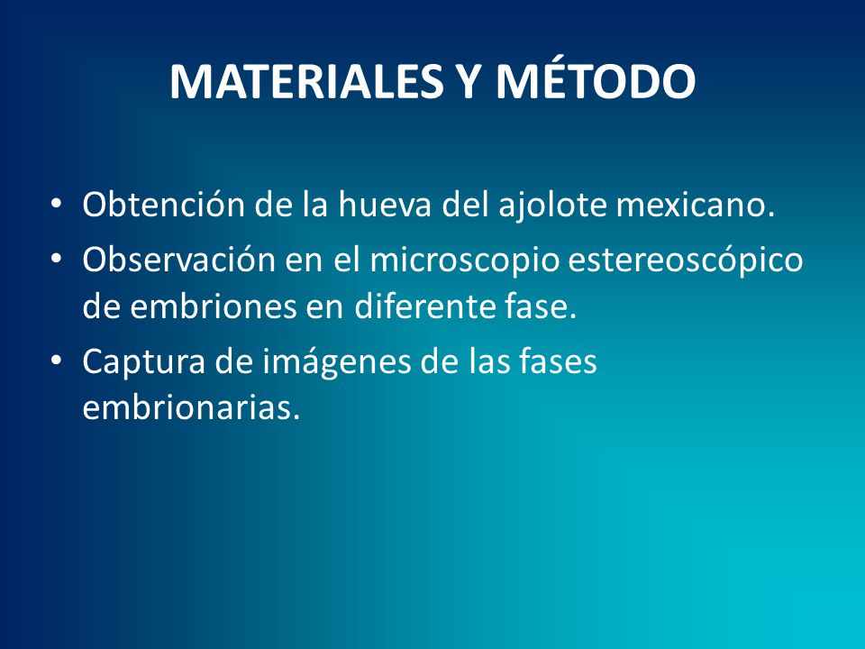 MATERIALES Y MÉTODO Obtención de la hueva del ajolote mexicano.