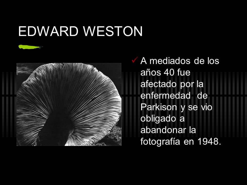 EDWARD WESTON A mediados de los años 40 fue afectado por la enfermedad de Parkison y se vio obligado a abandonar la fotografía en
